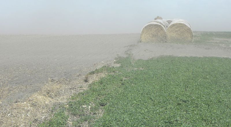 Roadside soil drifts impede the movement of roadbed runoff and reduces the snow storage volume necessary for proper road use and firmness. Concerns for safe traffic flow and especially for slower moving farming implements and pedestrians.