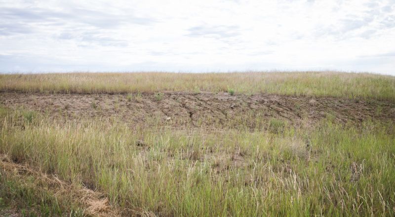 Rill erosion is a type of erosion that occurs when water forms small channels as it concentrates down a slope. Rill erosion develops when surface water concentrates in depressions or low points through fields and erodes the soil. Rill erosion is common on fields with little to no crop residue resulting from tillage operations or on overgrazed grasslands. Rill Erosion