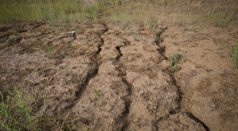 Rill erosion is a type of erosion that occurs when water forms small channels as it concentrates down a slope. Rill erosion develops when surface water concentrates in depressions or low points through fields and erodes the soil. Rill erosion is common on fields with little to no crop residue resulting from tillage operations or on overgrazed grasslands. Rill Erosion