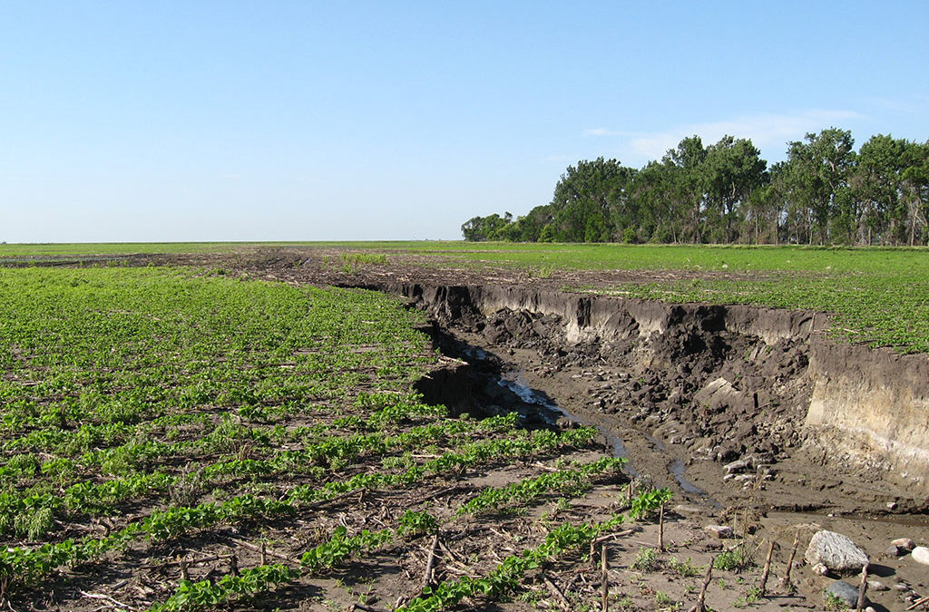 Classic or Ephemeral Gully Erosion