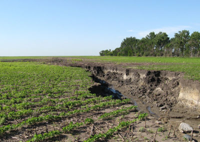 Classic or Ephemeral Gully Erosion