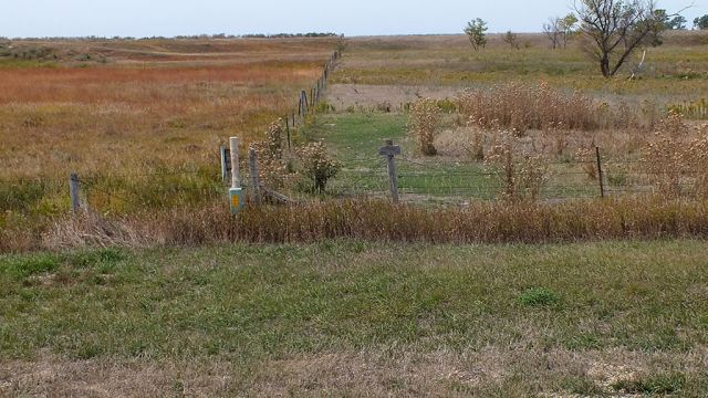 Excessive litter, inadequate structure, or undesirable plant health.