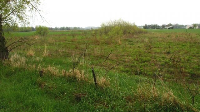 Excessive litter, inadequate structure, or undesirable plant health.