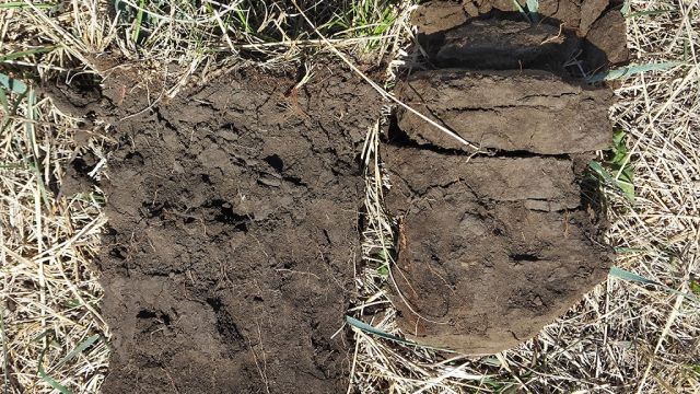 Compaction