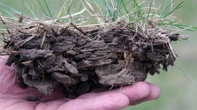 Compaction