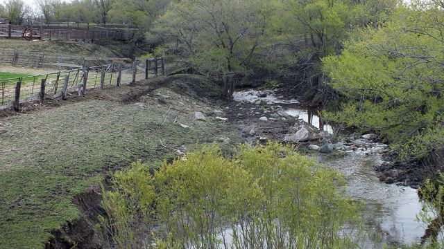 Excess bio-solids. Concern includes livestock allowed direct and pro-longed access to surface water (as opposed to cattle crossings, etc.)