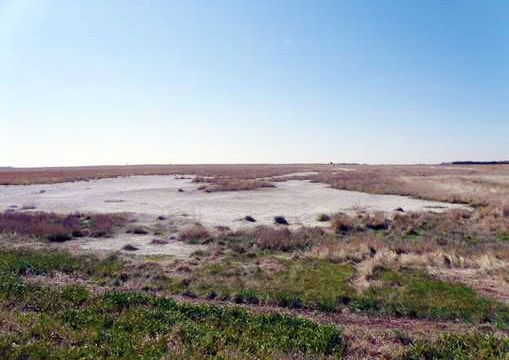 Salts in Ground or Surface Water