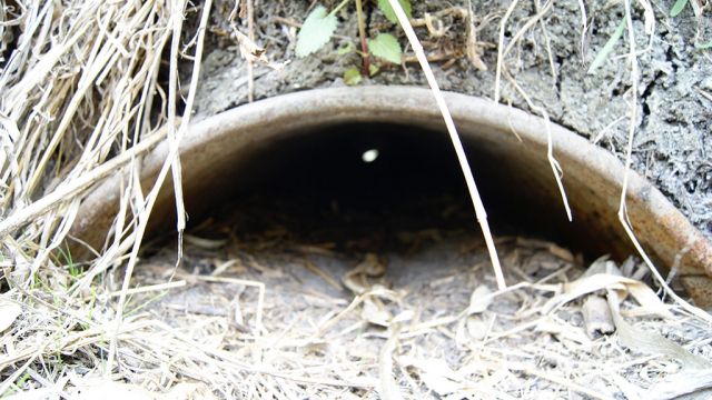 Duration of ponding can be worsened by improperly engineered culverts. Damage can occur to adjoining lands and infrastructure.
