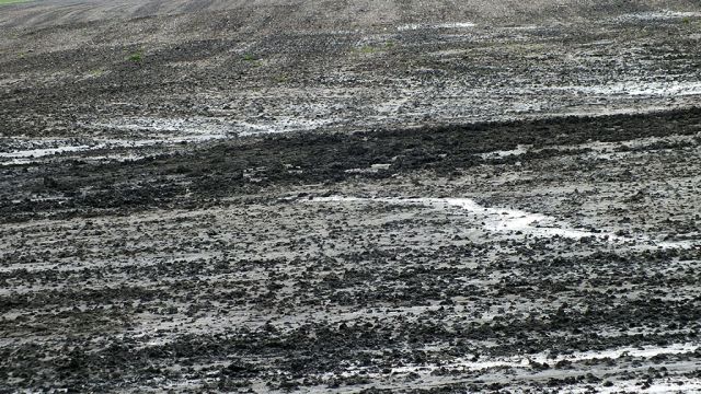 Seasonal High Water Table